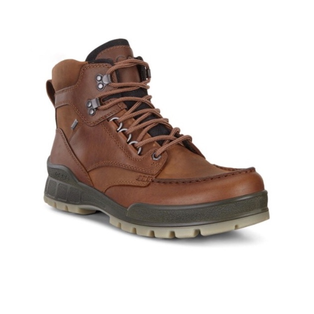 ECCO TRACK 25 lace up mens boot.  Goretex.  Gently used.